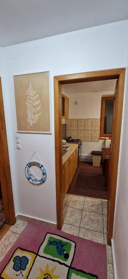 Appartamento Anastasia. Tulcea Esterno foto